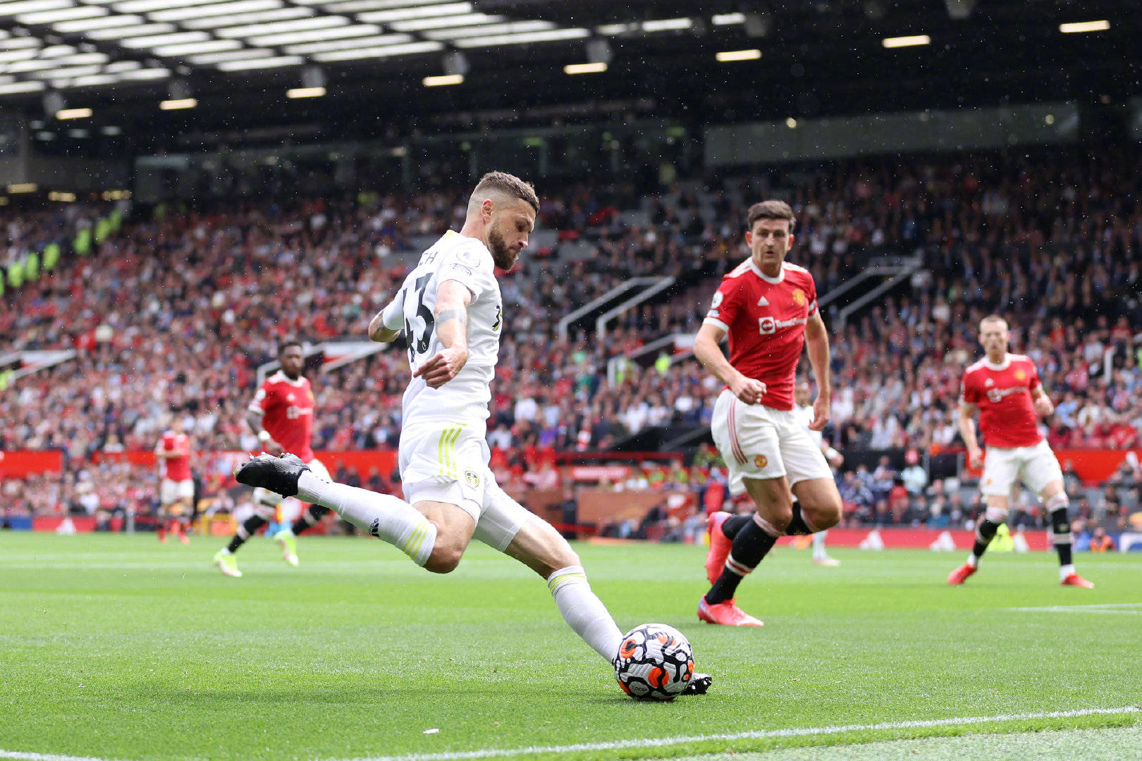 涯才刚刚开 涯才刚刚开